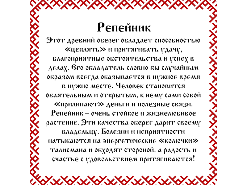 Серебряный оберег "Репейник" 1